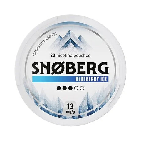 SNOBERG Blueberry Ice Medium