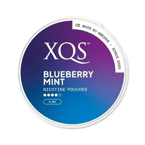 XQS Blueberry Mint Normal Nicotine Pouches - Slim Format